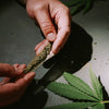 THE BEST NON-CANNABIS PLANTS TO PRACTICE..