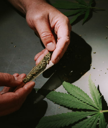 THE BEST NON-CANNABIS PLANTS TO PRACTICE..