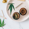 What is cannabis and what is a cannabis strain?