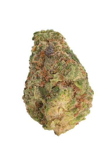 Cherry Punch Dried Flower