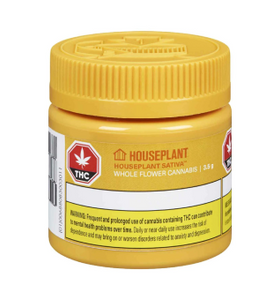 Dark Chocolate Square