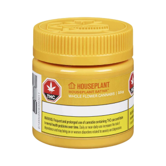 Dark Chocolate Square