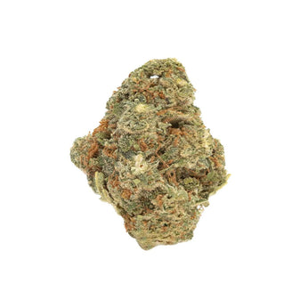 Mazar Haze Dried Flower