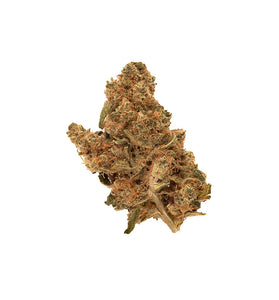 Purple Punch Dried Flower