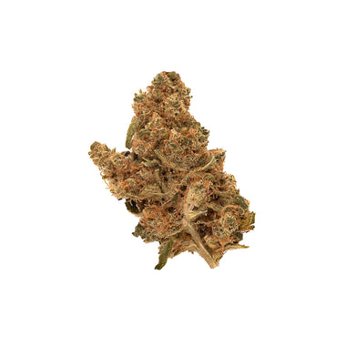 Purple Punch Dried Flower