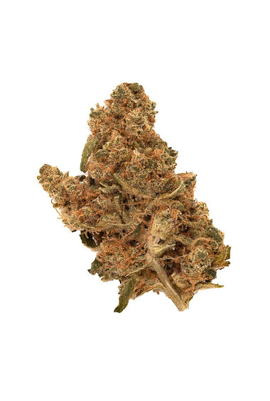 Purple Punch Dried Flower