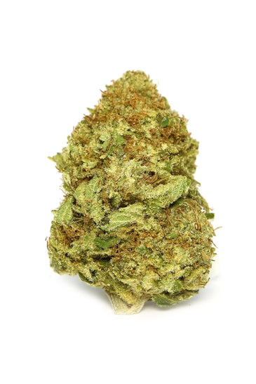 Sensi Star Dried Cannabis Flower
