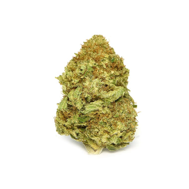 Sensi Star Dried Cannabis Flower