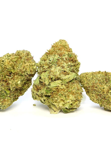 Sensi Star Dried Cannabis Flower