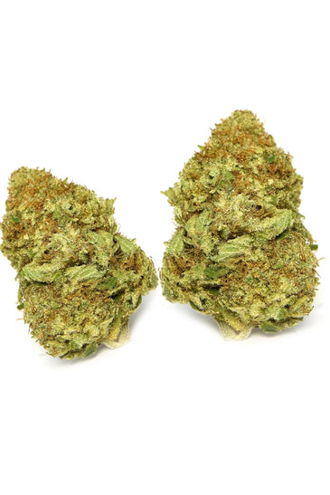 Sensi Star Dried Cannabis Flower